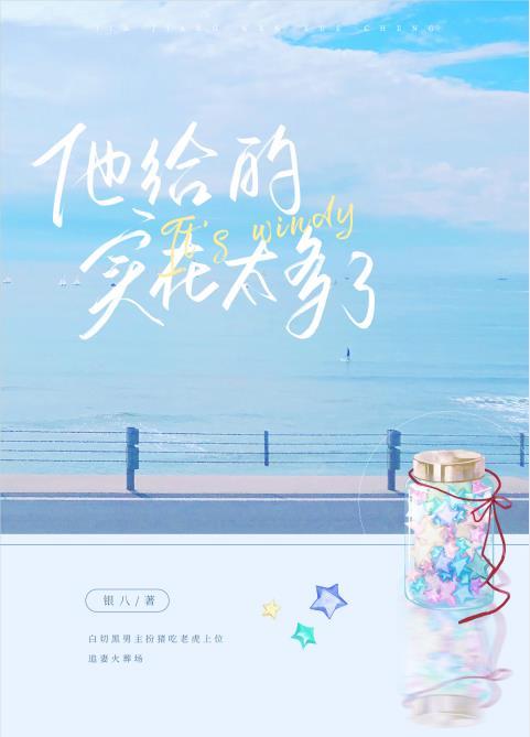 他给的实在太多了原著