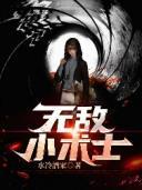 无敌小术士安悦最后和谁在一起了