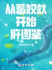 从蓄奴蚁开始肝图鉴顶点