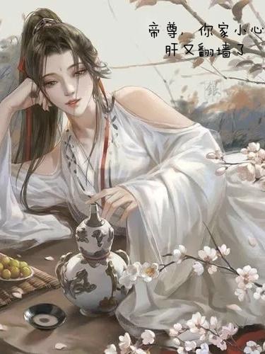 帝尊家的小甜妃免费阅读全文
