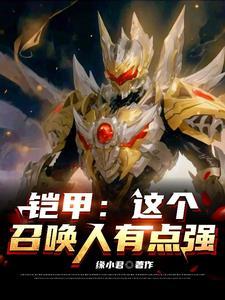 这个铠甲照片