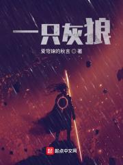 灰狼一条多少包
