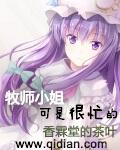 牧师是啥意思