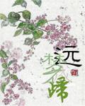 歌词梦断不成归