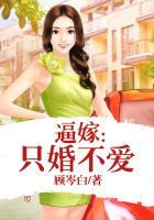 只婚不爱书籍