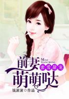 蜜爱甜宠前夫复追娇妻
