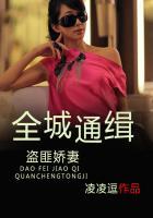 全城通缉解析