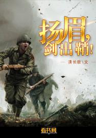 扬眉剑出鞘属于电视报告文学吗