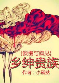 傲慢与偏见 阶级