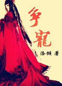 争宠gl np